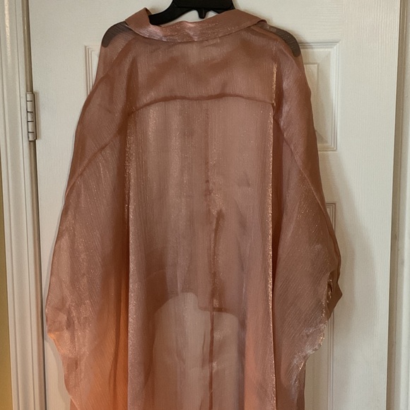 Sheer Metallic Oversized Organza Blouse - Brand New Never Worn has extra button - Picture 2 of 8